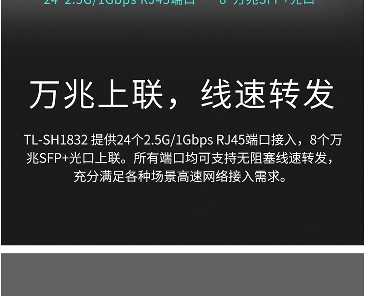 TP-LINK以太網交換機